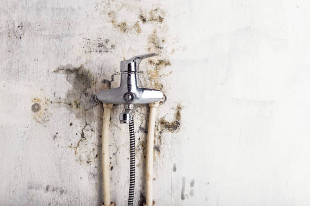 Best Residential Mold Removal  in Mascot, TN