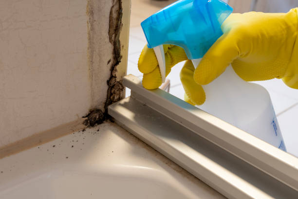 Water Damage Restoration in Mascot, TN