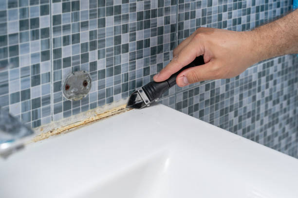Best Mold Cleaning Services  in Mascot, TN