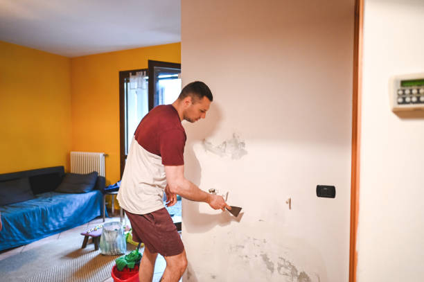 Best Fast Mold Removal  in Mascot, TN